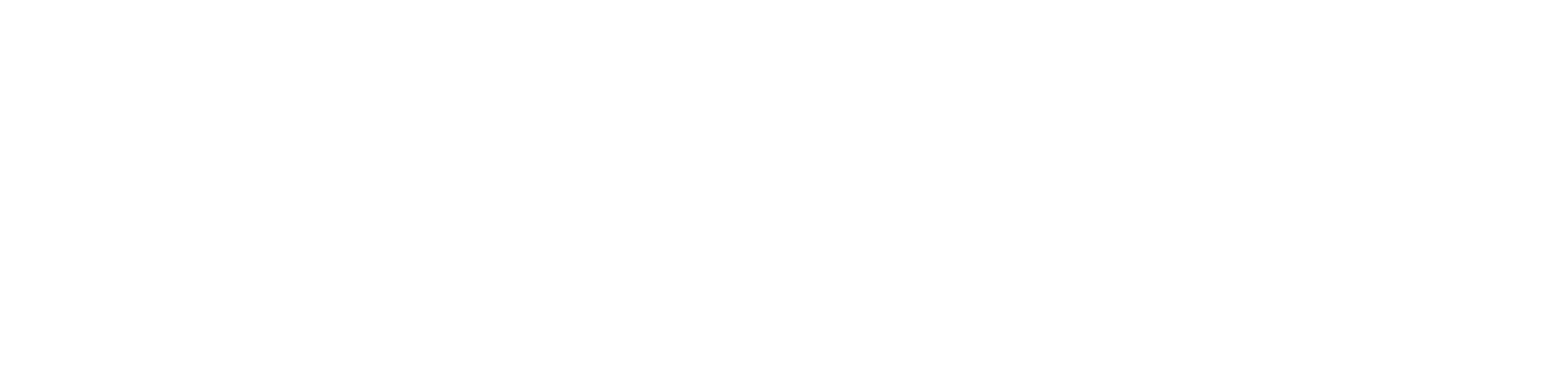 Single Image